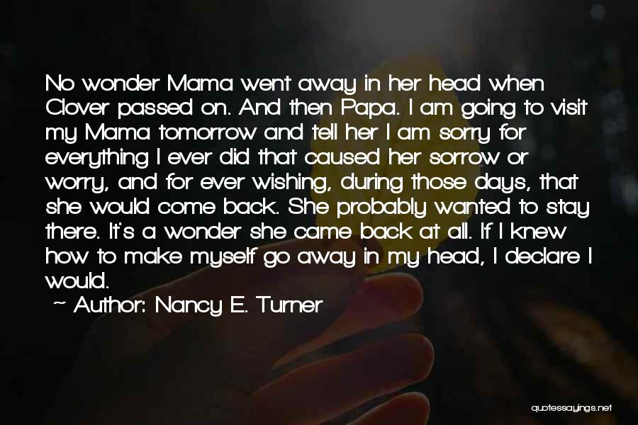 Nancy E. Turner Quotes 192040