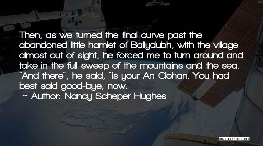 Nancy Scheper-Hughes Quotes 146558