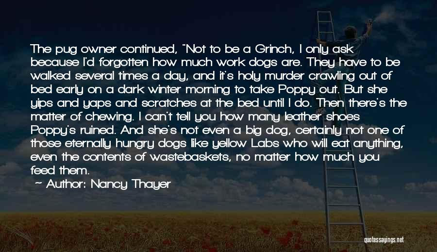 Nancy Thayer Quotes 842310