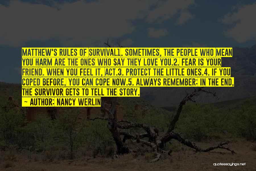 Nancy Werlin Quotes 1668233