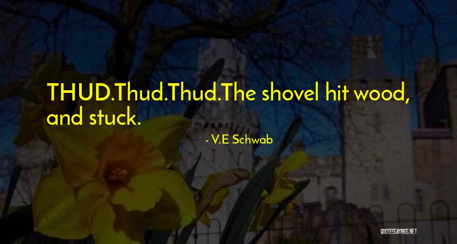 Nandamuri Taraka Rama Rao Quotes By V.E Schwab Nandamuri Taraka Rama Rao Quotes By V.E Schwab