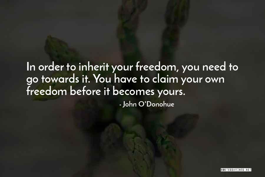 Nandipati Neurology Quotes By John O'Donohue Nandipati Neurology Quotes By John O'Donohue