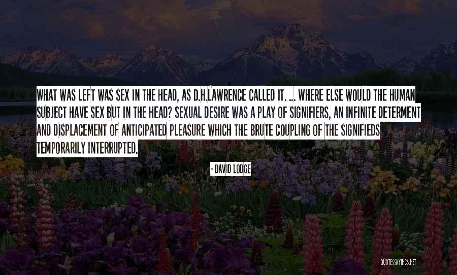 Nandlal Nayak Quotes By David Lodge Nandlal Nayak Quotes By David Lodge