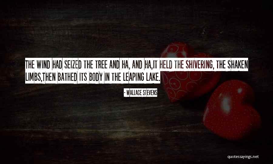 Nando Reis Quotes By Wallace Stevens Nando Reis Quotes By Wallace Stevens