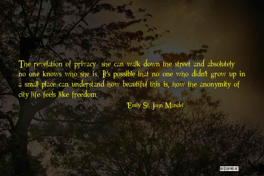 Naniki Quotes By Emily St. John Mandel Naniki Quotes By Emily St. John Mandel