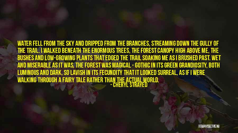 Nanke Quotes By Cheryl Strayed Nanke Quotes By Cheryl Strayed