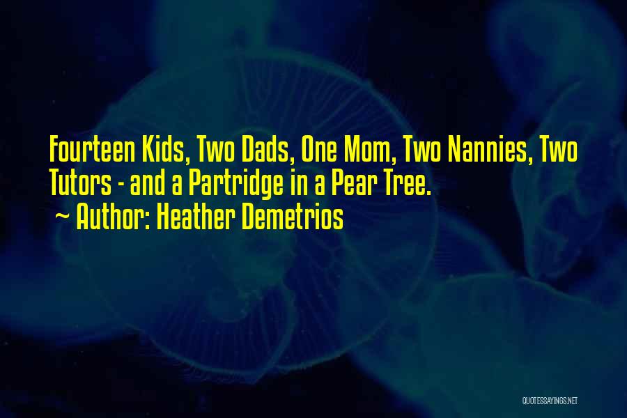 Nannies Quotes By Heather Demetrios
