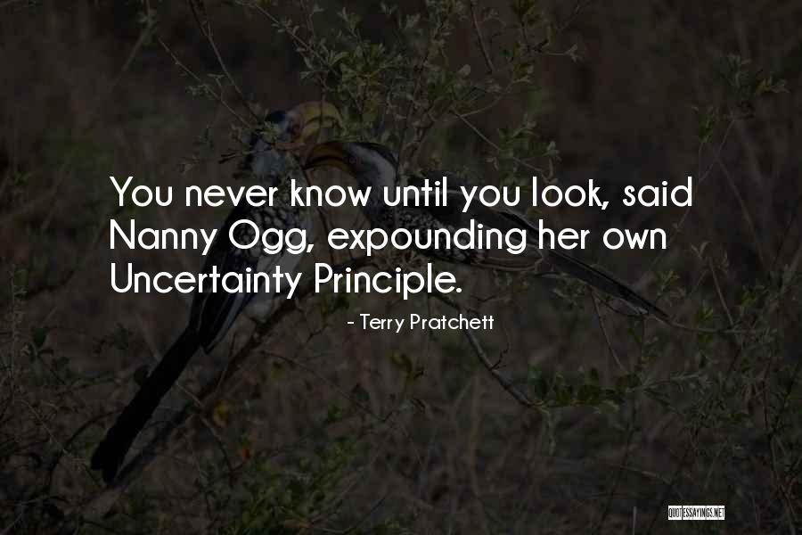 Nanny Quotes By Terry Pratchett