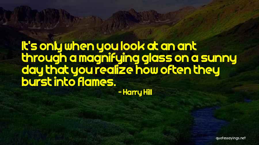 Nano Singer Quotes By Harry Hill Nano Singer Quotes By Harry Hill