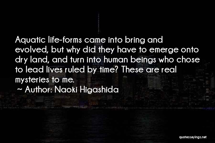 Naoki Higashida Quotes 1528581