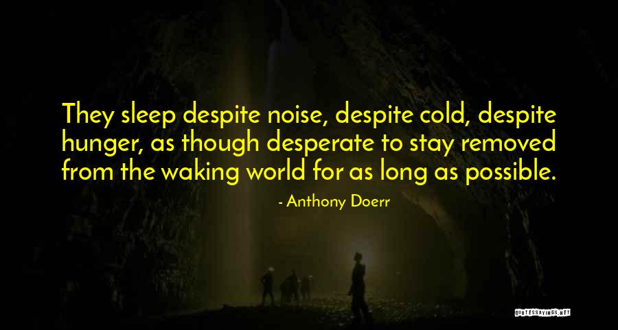 Naokos Wrasse Quotes By Anthony Doerr Naokos Wrasse Quotes By Anthony Doerr