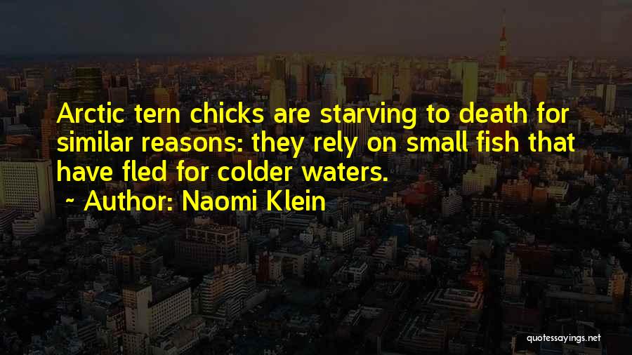 Naomi Klein Quotes 1328318