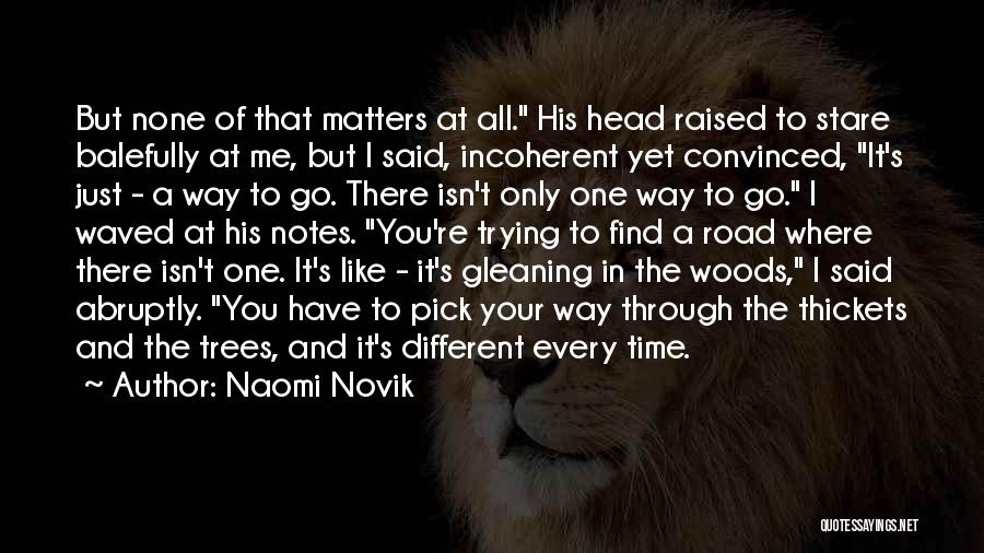 Naomi Novik Quotes 940482