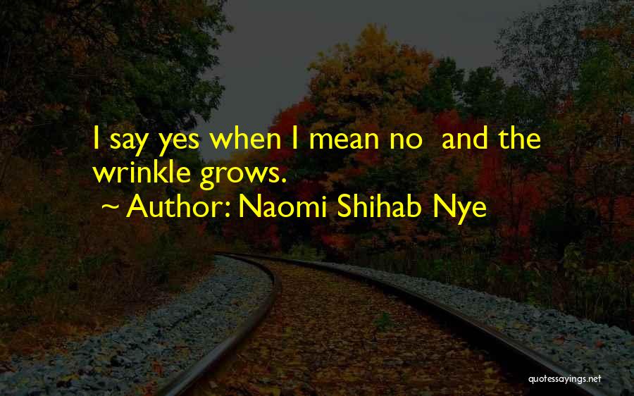 Naomi Shihab Nye Quotes 2030756