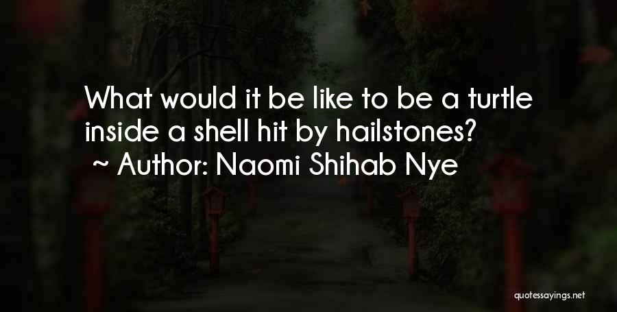 Naomi Shihab Nye Quotes 701869