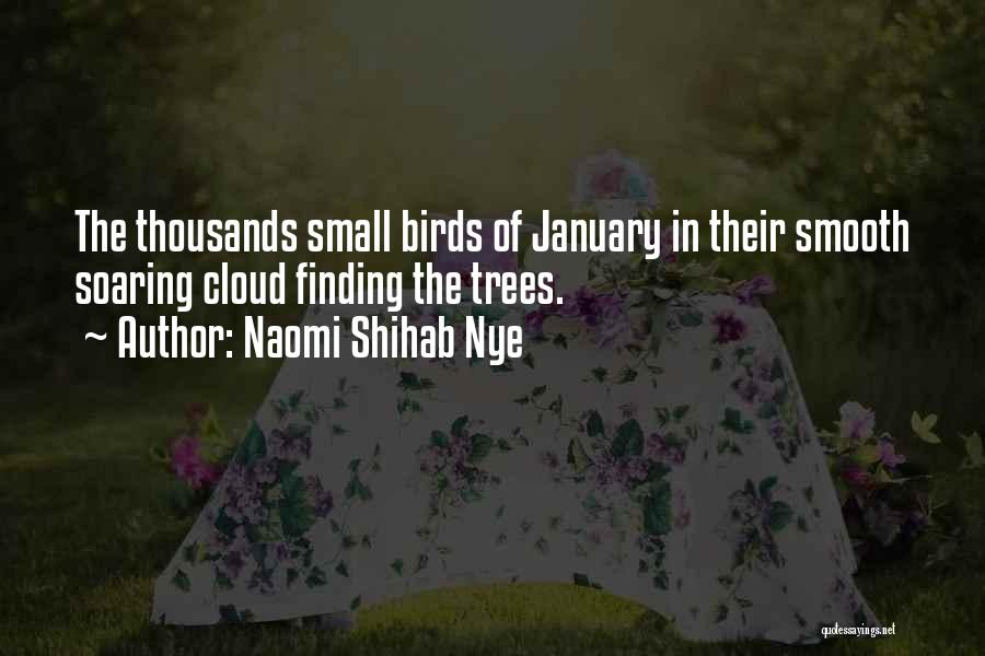 Naomi Shihab Nye Quotes 909205