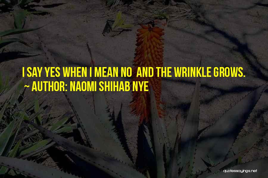 Naomi Shihab Quotes By Naomi Shihab Nye