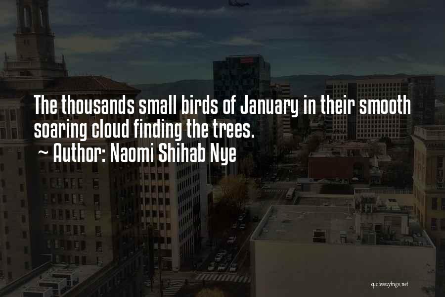 Naomi Shihab Quotes By Naomi Shihab Nye