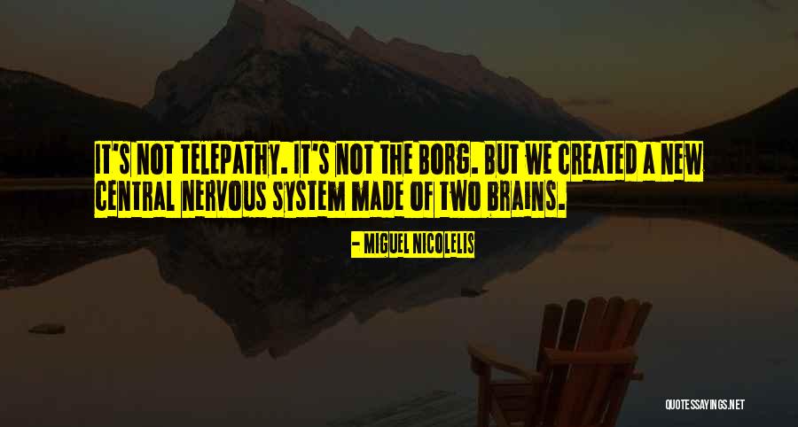 Naonobu Ahagon Quotes By Miguel Nicolelis Naonobu Ahagon Quotes By Miguel Nicolelis