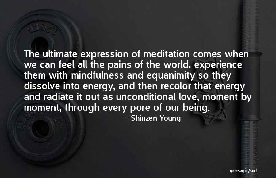 Naonobu Kano Quotes By Shinzen Young Naonobu Kano Quotes By Shinzen Young