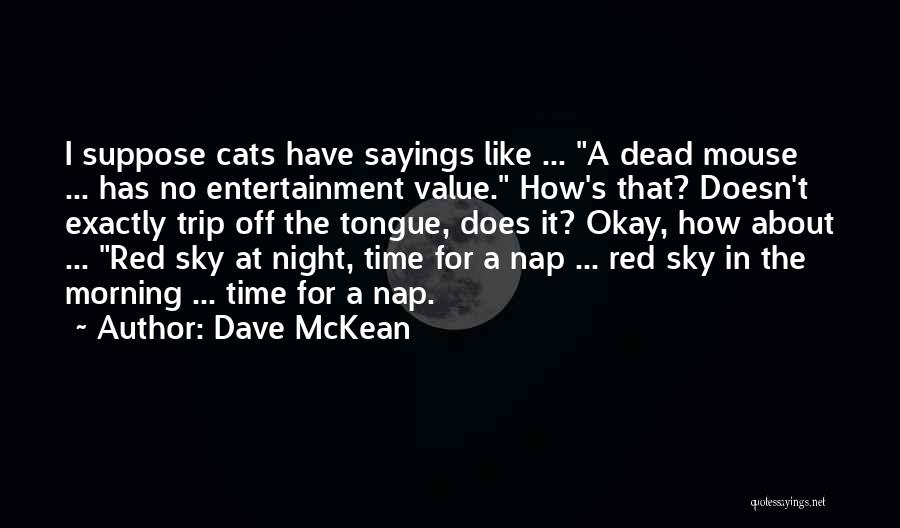 Nap Time Quotes By Dave McKean