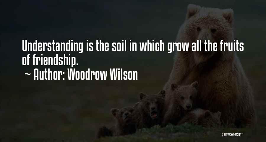 Napalmed Landscape Quotes By Woodrow Wilson