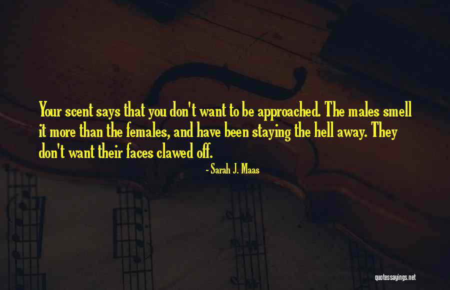 Napellenzo Quotes By Sarah J. Maas Napellenzo Quotes By Sarah J. Maas