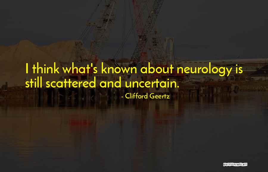 Napierala Consulting Quotes By Clifford Geertz Napierala Consulting Quotes By Clifford Geertz