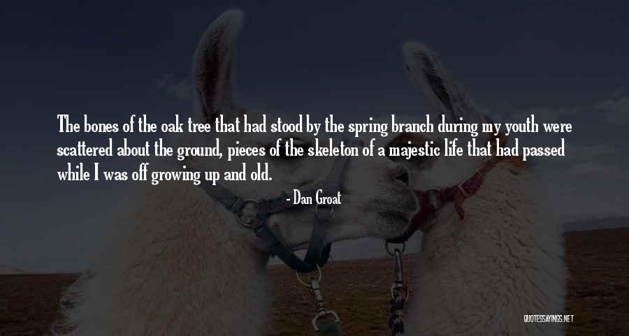Napisy Quotes By Dan Groat Napisy Quotes By Dan Groat