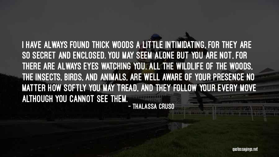 Napita Quotes By Thalassa Cruso Napita Quotes By Thalassa Cruso