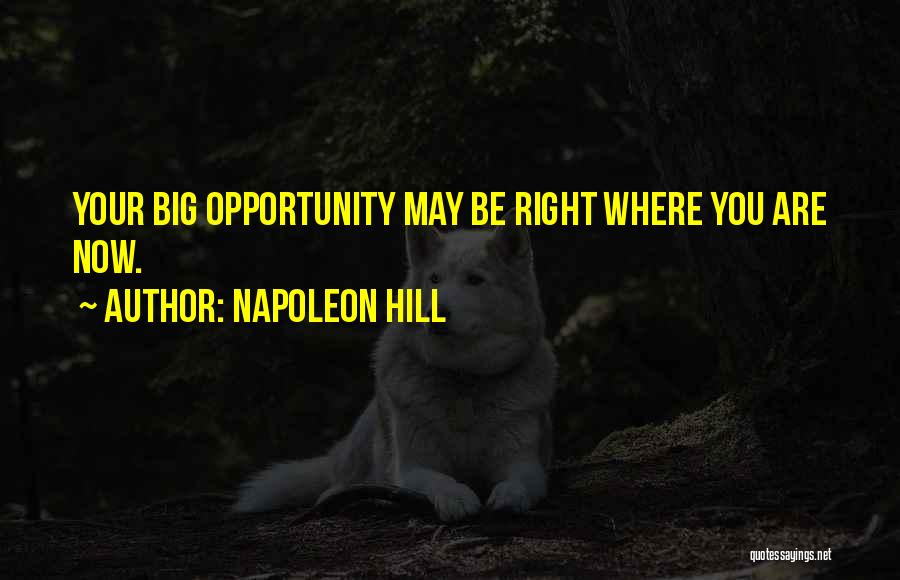 Napoleon Hill Quotes 248570