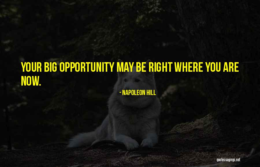 Napoleon Hill Quotes 248570