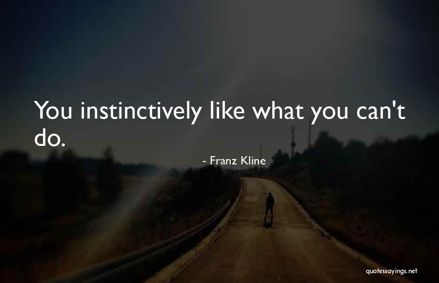 Napotniks Quotes By Franz Kline Napotniks Quotes By Franz Kline