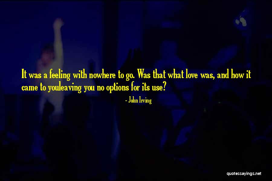 Nappies For Adults Quotes By John Irving Nappies For Adults Quotes By John Irving