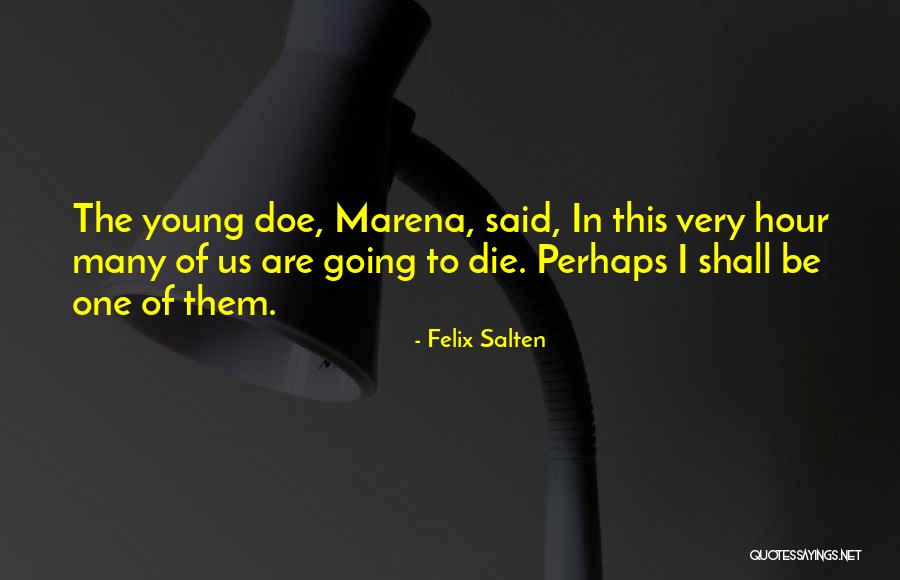Naquet Law Quotes By Felix Salten Naquet Law Quotes By Felix Salten