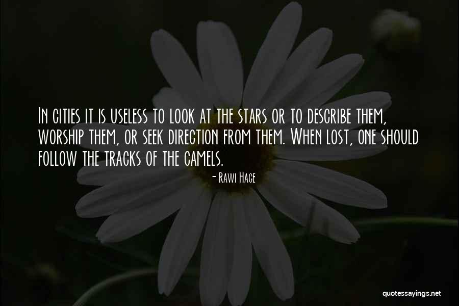 Naquetta Ricks Quotes By Rawi Hage Naquetta Ricks Quotes By Rawi Hage