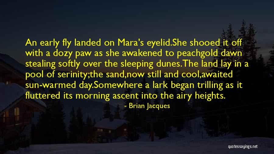 Narayen Adobe Quotes By Brian Jacques Narayen Adobe Quotes By Brian Jacques