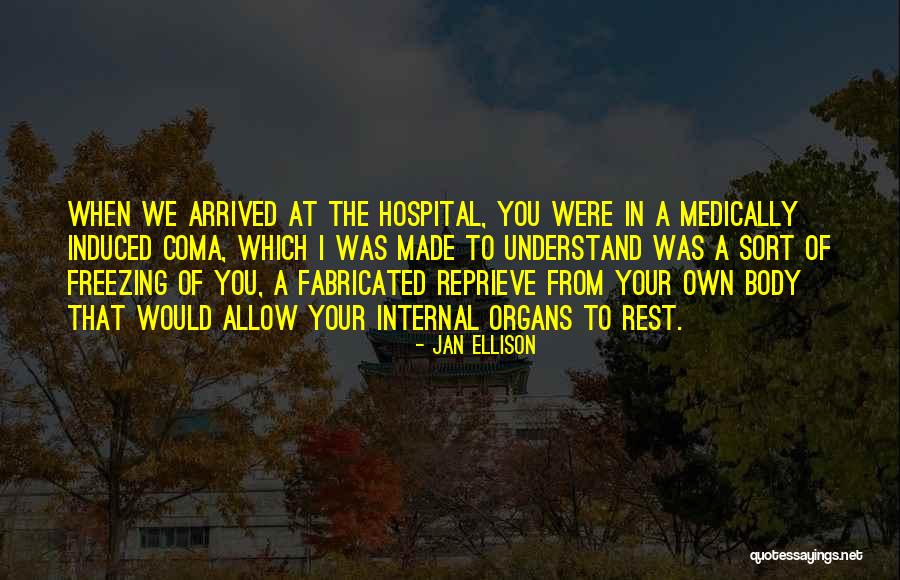 Narcisismo Exposto Quotes By Jan Ellison Narcisismo Exposto Quotes By Jan Ellison