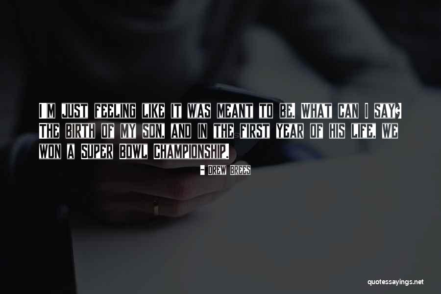 Narcisissism Quotes By Drew Brees Narcisissism Quotes By Drew Brees