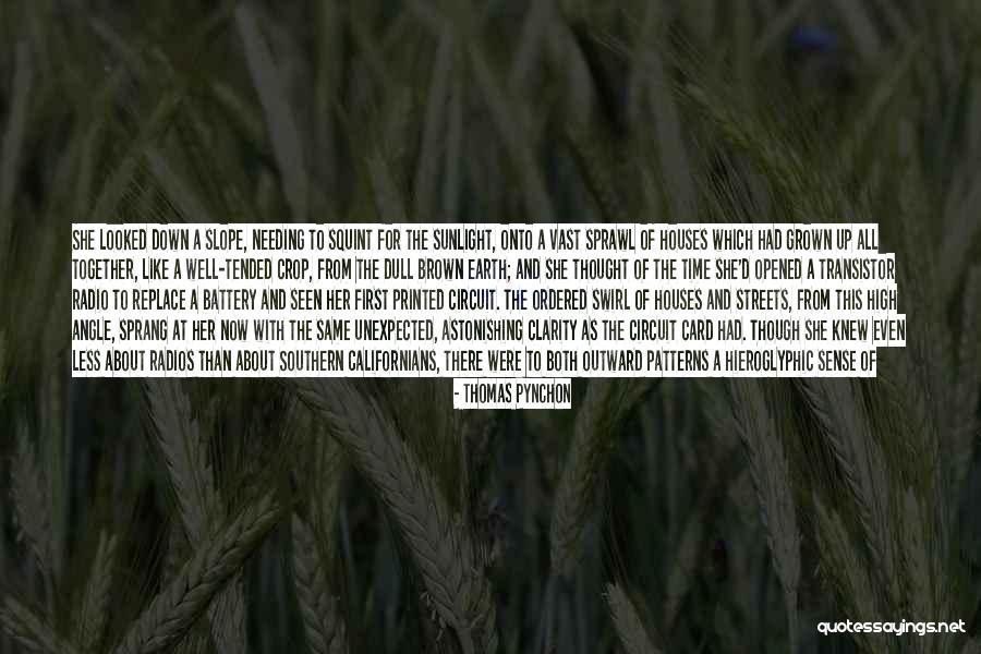 Narciso Quotes By Thomas Pynchon Narciso Quotes By Thomas Pynchon