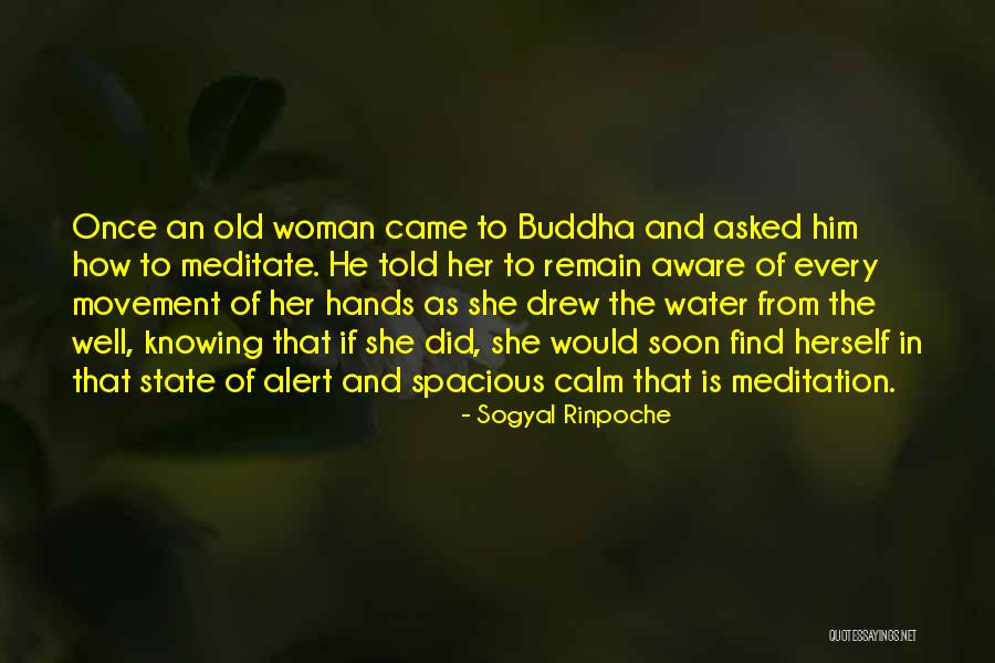 Narcissist Man Quotes By Sogyal Rinpoche Narcissist Man Quotes By Sogyal Rinpoche