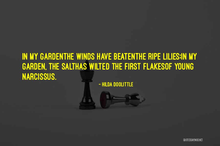 Narcissus Quotes By Hilda Doolittle Narcissus Quotes By Hilda Doolittle