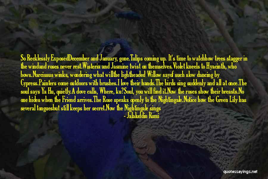 Narcissus Quotes By Jalaluddin Rumi Narcissus Quotes By Jalaluddin Rumi