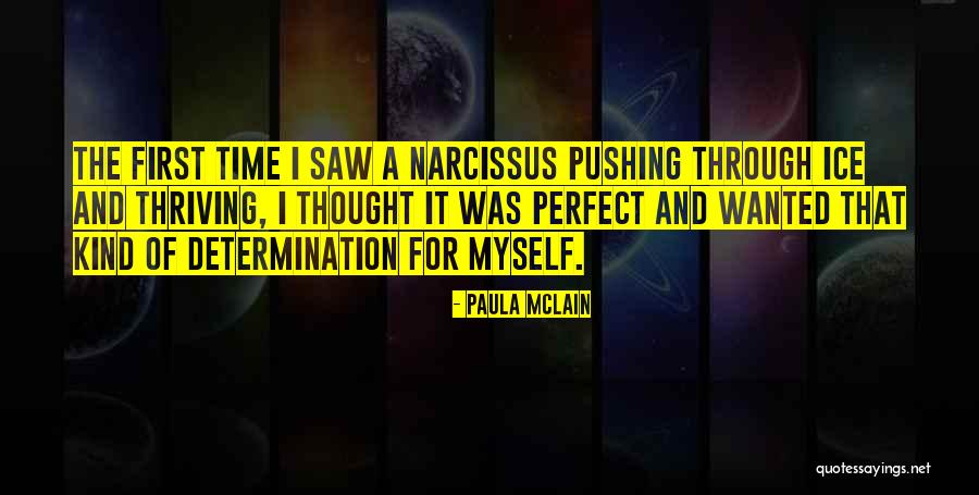 Narcissus Quotes By Paula McLain Narcissus Quotes By Paula McLain