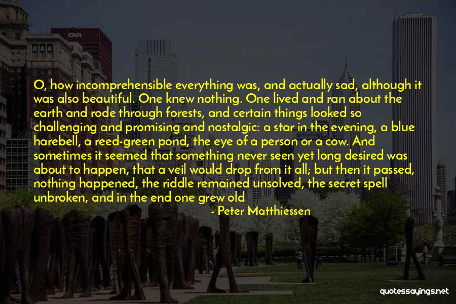 Narcissus Quotes By Peter Matthiessen Narcissus Quotes By Peter Matthiessen