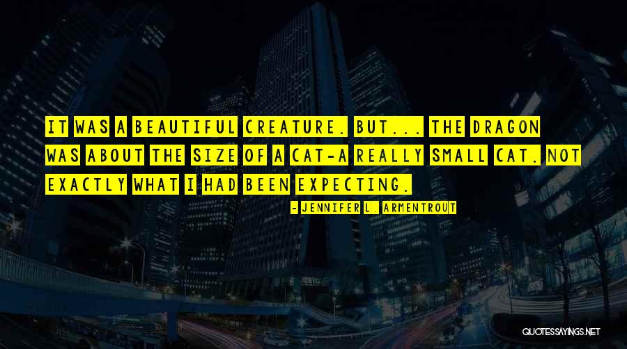 Narcistic Quotes By Jennifer L. Armentrout Narcistic Quotes By Jennifer L. Armentrout