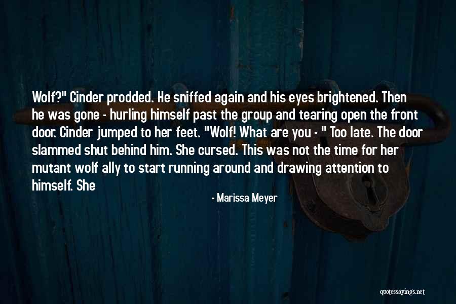Narcotr Fico De Drogas Quotes By Marissa Meyer Narcotr Fico De Drogas Quotes By Marissa Meyer
