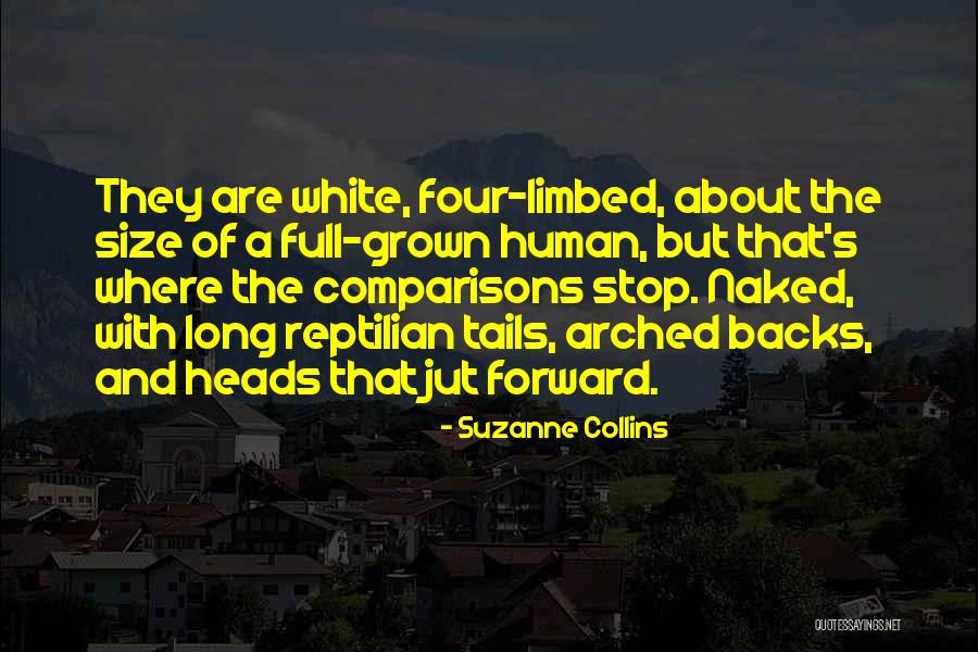Narduzzi Michigan Quotes By Suzanne Collins Narduzzi Michigan Quotes By Suzanne Collins