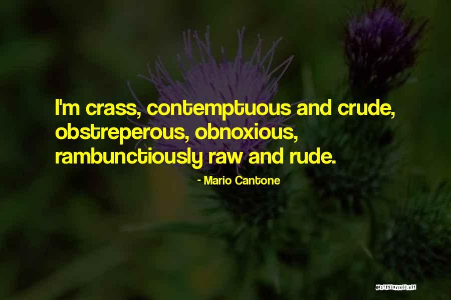 Nargess Mozafari Quotes By Mario Cantone Nargess Mozafari Quotes By Mario Cantone