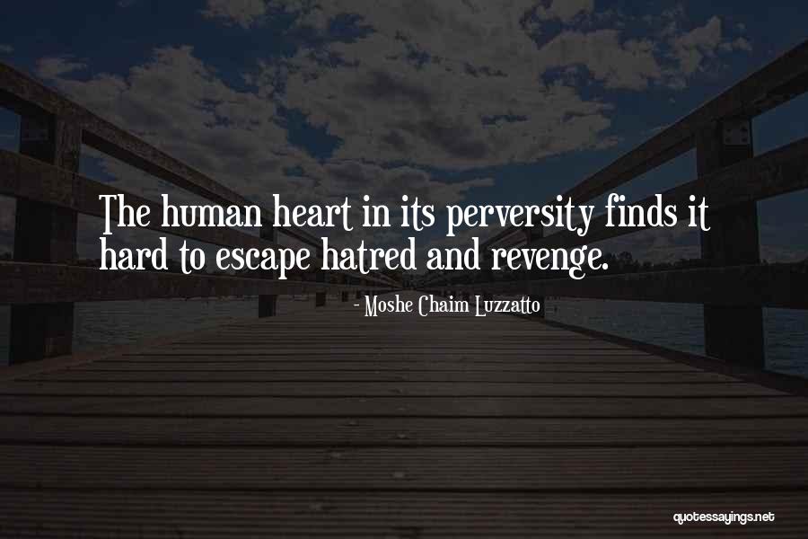 Narinder Quotes By Moshe Chaim Luzzatto Narinder Quotes By Moshe Chaim Luzzatto